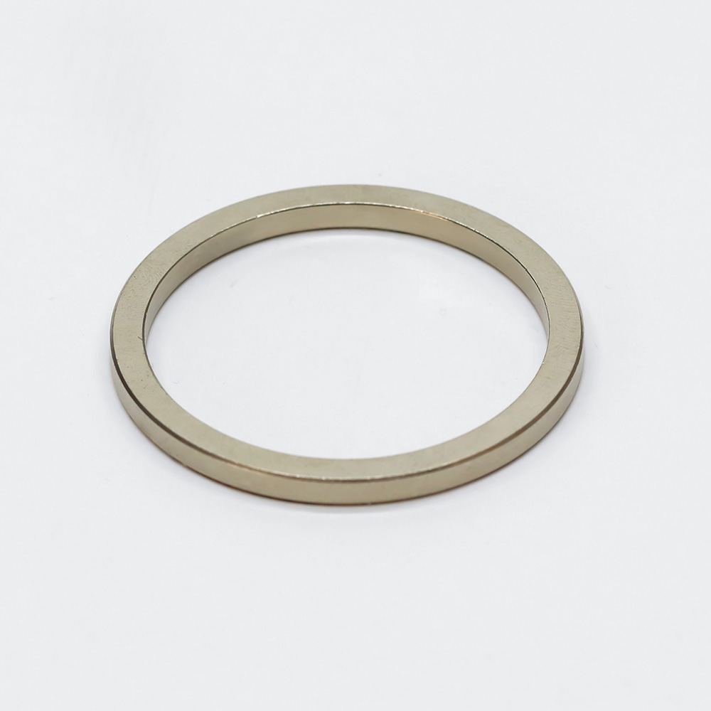 Big Ring Magnet, NdFeB Magent/Rare Earth For Loudspeaker Permanent Magnet -  China magnet, ring magnet | Made-in-China.com